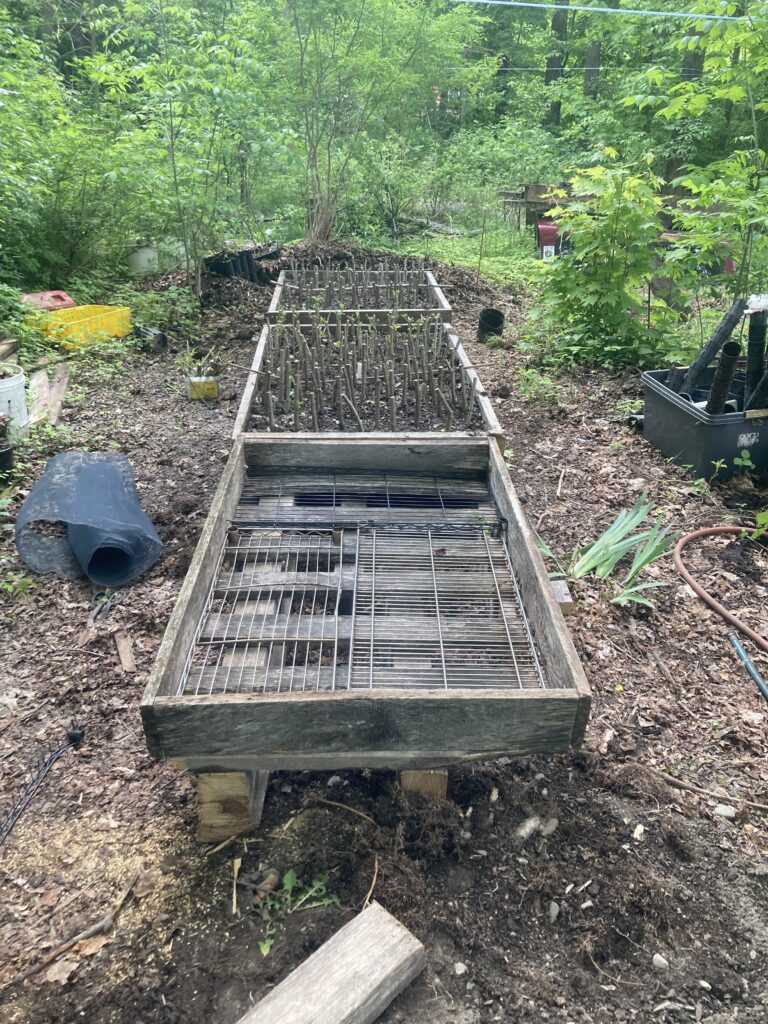 air prune beds constructed at Wellspring Forest Farm