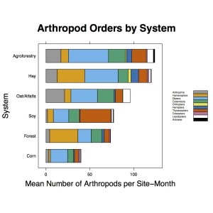 Arthropod_Order_Composition