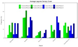 average legume canopy