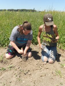 black farmer, elderberry, community garden 