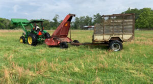 Forage harvesting at the Beef Research Unit (Gainesville, FL)