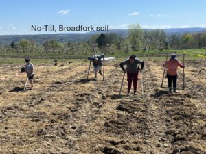 No till broadforking beds