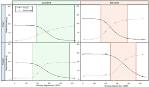 Buckwheat curves and elevated and ambient conditions