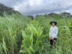 Graduate Student Alina Wood stands in a field of turmeric and cover crops.