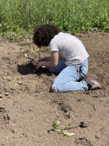 Youth community member, garden, planting