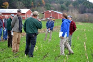 farmers observing a standof cover crops