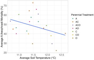 ABUTH v Temp S24