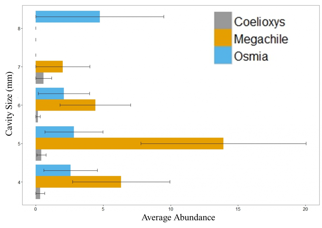 Figure 2. Nest preferences for three genera of cavity-nesting bees. Several bee species may account for these trends in cavity-use. Coelioxys is a parasitic bee.