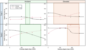 Cheatgrass CPWC curves in ambient and elevated conditions