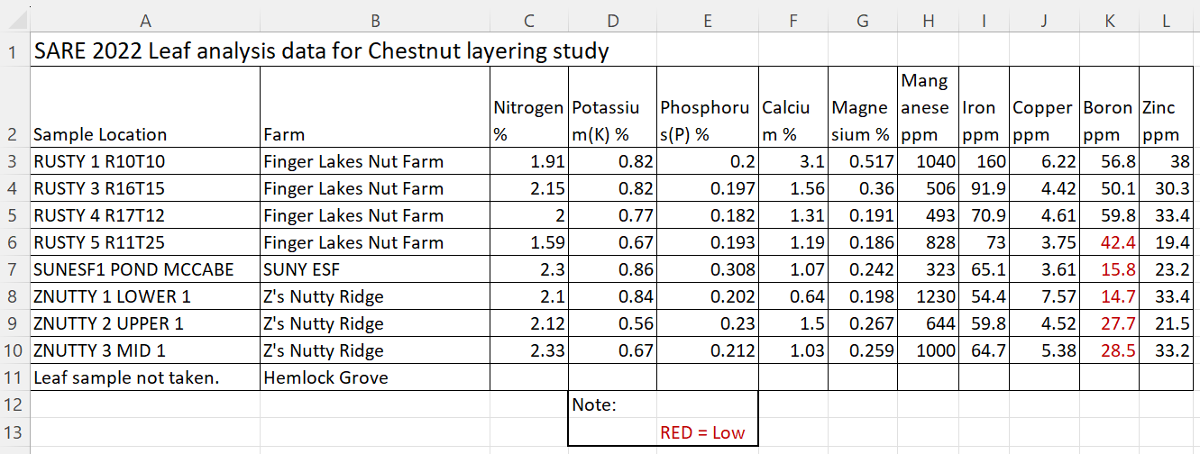 Chestnut leaf analysis for 2022 layering study looking for abnormalities.