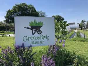 Common Roots farm sign, with vegetable beds and greenhouse in background.