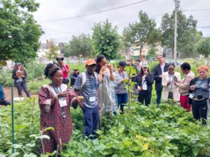 Workshop Pest Walk Community Garden 