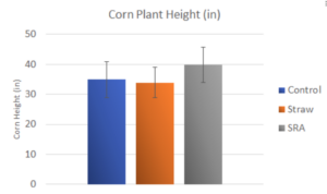 Depiction of corn plant height within treatments.  Tallest plants were measured in the Wine Cap mushroom treatment.