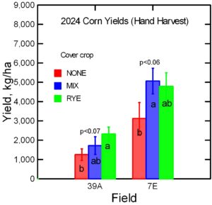 Bar graph of corn yields in 2024 at CMREC as affected by soil and cover crop type