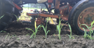 experimental applicator using an old cabbage sprayer tank