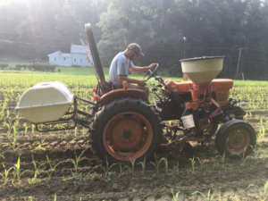 Urine fertilization via an experimental applicator using an old cabbage sprayer tank