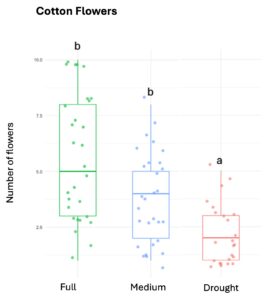 Figure 1. diameter of floral head for sunflower (bottom plots