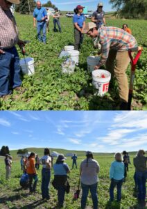 Photos from 2022 Cover Crop Field Day at Lester Wolf Farms