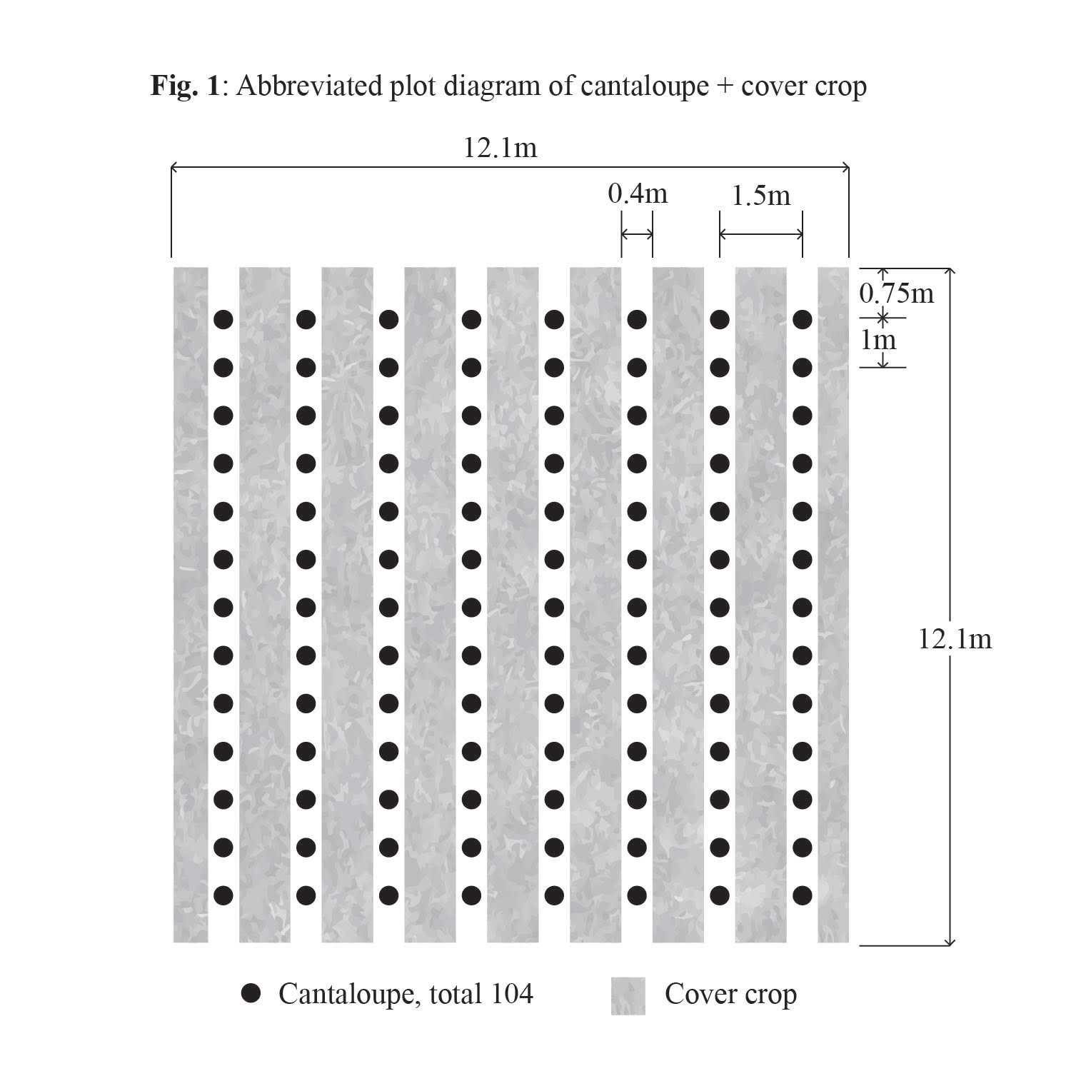 Cover crop plot diagram