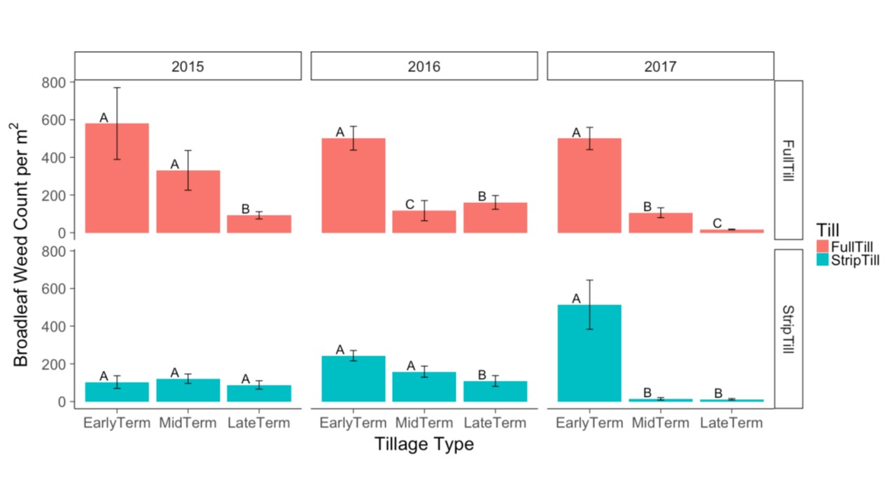 Figure 11. Broadleaf weed counts at two weeks post termination. Post hoc comparisons are of cover crop termination within each year and tillage treatment, 2015-2017. Letter groupings indicate significantly different means within each year at P