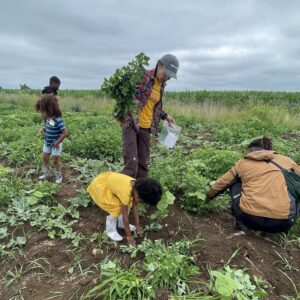 Black farmers, black children, community garden, plants 