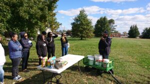 Explaining seed selection and application 
