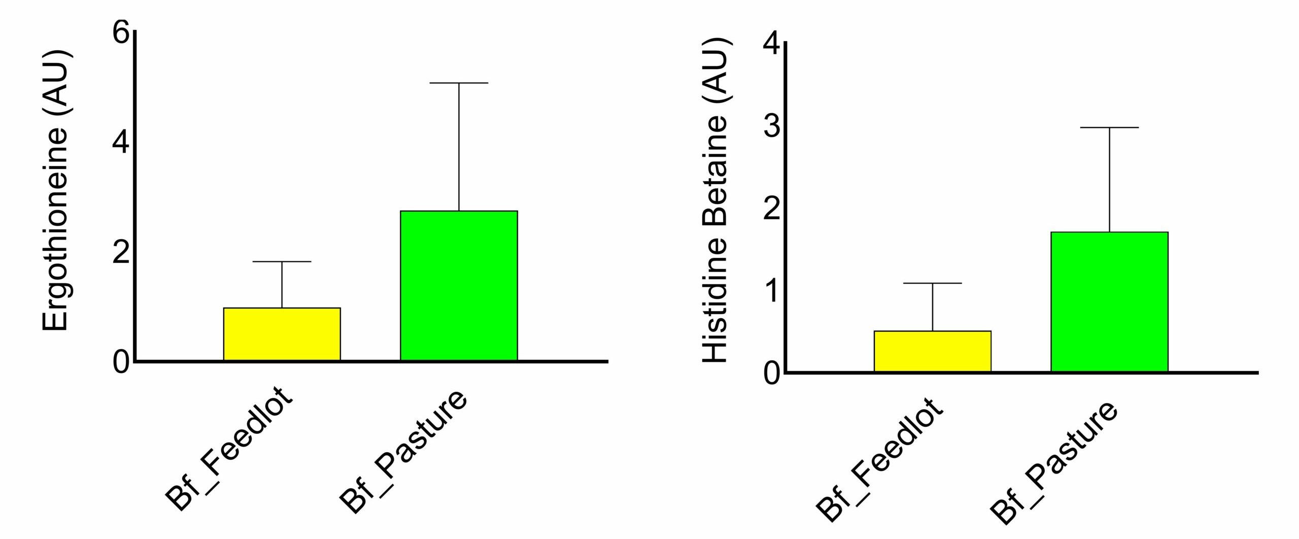 Figure 6: Ergothioneine and histidine betaine content of feedlot and pasture-finished beef. These compounds, with potential anti-inflammatory and anti-oxidant effects, are produced by soil bacteria and upcycled in the meat. 