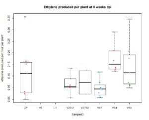 Boxplot depicting ethylene production after 5 weeks growth in non-saline conditions