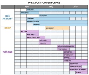 Exhibit 1 Pre and Post Flower Forage Chart