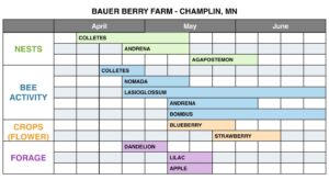 Exhibit 4 Bauer Berry Farm pre and post forage chart