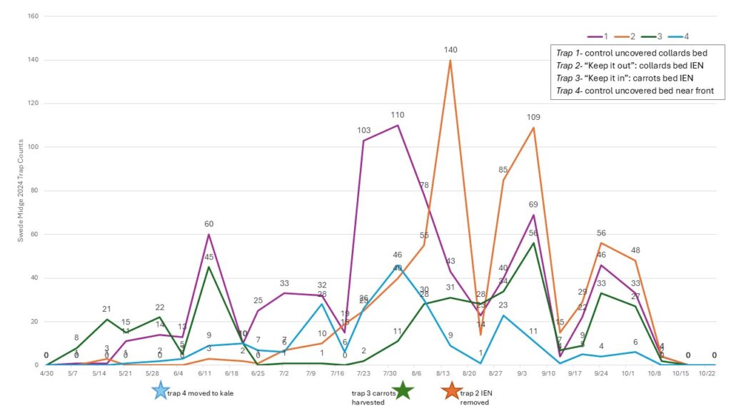 line graph showing counts of 4 traps at foodlink through out 2024 season