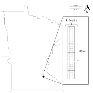 Location of study site within Minnesota.  Inset shows number and orientation of replicates. For each replicate, whole plot boundaries are denoted by solids lines and subplot boundaries by dashed lines.