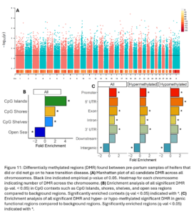 Figure 11: Differentially methylated regions (DMR) found between pre-partum samples of heifers that did or did not go on to have transition disease. (A) Manhattan plot of all candidate DMR across all chromosomes. Black line indicated empirical p-value of 0.05. Heatmap for each chromosome indicating number of DMR across the chromosome. (B) Enrichment analysis of all significant DMR (p-val. < 0.05) in CpG contexts such as CpG Islands, shores, shelves, and open sea regions compared to background regions. Significantly enriched contexts (q-val < 0.05) indicated with *. (C) Enrichment analysis of all significant DMR and hyper- or hypo-methylated significant DMR in genic functional regions compared to background regions. Significantly enriched regions (q-val < 0.05) indicated with *.