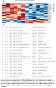 Figure 12: Informative differentially methylated regions (DMR) in both random forest and support vector machine learning approaches to classify heifers that went on to have transition disease (TD) or not (NoTD) based on pre-partum samples. (A) Heat map showing level of hypo- or hyper-methylation of common DMRs and the nearest gene and functional region the DMR was annotated to. (B) Table of all common DMRs and their importance rank, chromosome, functional region, and nearby gene annotation.  