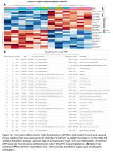 Figure 16:  Informative differentially methylated regions (DMR) in both random forest and support vector machine learning approaches to classify pre-partum vs. 30 DIM samples of heifers that did not have transition disease. (A) Heat map showing level of hypo- or hyper-methylation of common DMRs and the nearest gene and functional region the DMR was annotated to. (B) Table of all common DMRs and their importance rank, chromosome, functional region, and nearby gene annotation.