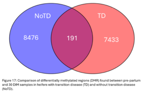 Figure 17: Comparison of differentially methylated regions (DMR) found between pre-partum and 30 DIM samples in heifers with transition disease (TD) and without transition disease (NoTD). 