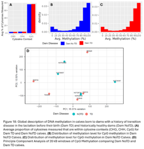 Figure 18: Global description of DNA methylation in calves born to dams with a history of transition disease in the lactation before their birth (Dam TD) and historically healthy dams (Dam NoTD). (A) Average proportion of cytosines measured that are within cytosine contexts (CHG, CHH, CpG) for Dam TD and Dam NoTD calves. (B) Distribution of methylation level for CpG methylation in Dam NoTD Calves. (C) Distribution of methylation level for CpG methylation in Dam NoTD Calves. (D) Principle Component Analysis of 20 kB windows of CpG Methylation comparing Dam NoTD and Dam TD calves. 