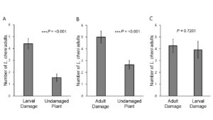 Preference of L. cheni toward air potato plant with different damage treatments