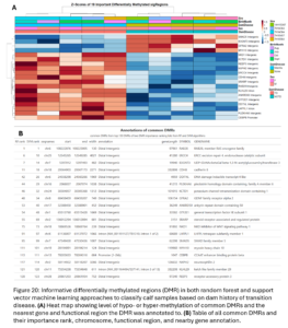 Figure 20: Informative differentially methylated regions (DMR) in both random forest and support vector machine learning approaches to classify calf samples based on dam history of transition disease. (A) Heat map showing level of hypo- or hyper-methylation of common DMRs and the nearest gene and functional region the DMR was annotated to. (B) Table of all common DMRs and their importance rank, chromosome, functional region, and nearby gene annotation.