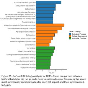 Figure 21: GoFuncR Ontology analysis for DMRs found pre-partum between heifers that did or did not go on to have transition disease. Displaying the seven most significantly enriched nodes for each GO aspect and their significance (-log10(p)). 