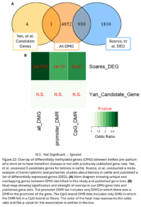 Figure 22: Overlap of differentially methylated genes (DMG) between heifers pre-partum who went on to have transition disease or not with previously published gene lists. Yan, et al. proposed 5 candidate genes for ketosis in cattle. Soares, et al. conducted a meta-analysis of transcriptomic and proteomic studies about ketosis in cattle and published a list of differentially expressed genes (DEG). (A) Venn diagram showing unique and overlapping genes between DMG identified in this study and published gene lists. (B) Heat map showing significance and strength of overlap in our DMG gene lists and published gene lists. The promoter DMR list includes only DMG in which there was a DMR in the promoter of the gene. The CpG Island DMR lists includes only DMG in which the DMR fell in a CpG Island or Shore. The color of the heat map represents the odds ratio and the p-value for the association is written in the box.