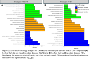 Figure 23: GoFuncR Ontology analysis for DMR found between pre-partum and 30 DIM samples in (A) heifers that did not have transition disease (NoTD) and (B) heifers that had transition disease (TD). Displaying the seven most significantly enriched nodes for each GO aspect and their family-wise error rate corrected significance (-log10(p)).