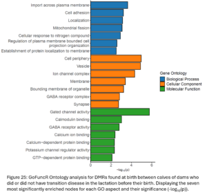 Figure 25: GoFuncR Ontology analysis for DMRs found at birth between calves of dams who did or did not have transition disease in the lactation before their birth. Displaying the seven most significantly enriched nodes for each GO aspect and their significance (-log10(p)).