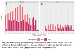 Figure 5: Dam parity group sizes by offspring birth year in both farms. Dam’s 1st offspring (Primi) or Dam’s 2nd or greater offspring (Multi). (A) Cornell University Ruminant Center (CURC) (B) Veterinary Teaching Dairy (VTD).