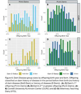 Figure 6: Dam Disease group sizes by offspring birth year and farm. Offspring classified on dam history of disease in the period before their birth (no history of dam disease (NoD Dam) or history of disease (D Dam)).  (A, C) Dam’s 1st offspring (Primi-Dams) (B, D) Dam’s 2nd or greater offspring (Multi-Dams). (A-B) Cornell University Ruminant Center (CURC) and (C-D) Veterinary Teaching Dairy (VTD).