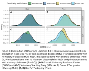 Figure 8: Distribution of Offspring's Lactation 1 (L1) 305 day mature equivalent milk production in lbs (305 ME) by dam parity and disease status (Multiparous dams with no history of disease (Multi-NoD), multiparous dams with a history of disease (Multi-D), Primiparous Dams with no history of disease (Primi-NoD) and primiparous dams with a history of disease (Primi-D)). (A- B) Cornell University Ruminant Center (CURC) and (C-D) Veterinary Teaching Dairy (VTD). (A, C) Dam’s 2nd or greater offspring (Multi). (B, D) Dam’s 1st offspring (Primi).   