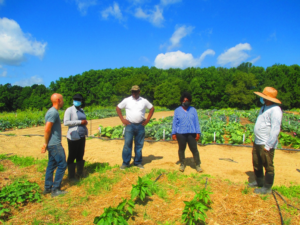 Grower visits the experiment at NCA&T Research Farm and discusses with researchers.