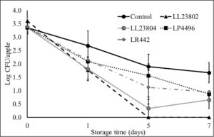 Listeria survival on LAB treated apples under refrigerated storage at low pathogen load