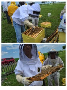 Youth learning how to do hive inspections