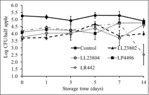 Listeria survival on LAB treated cut-apples under refrigerated storage at high pathogen load